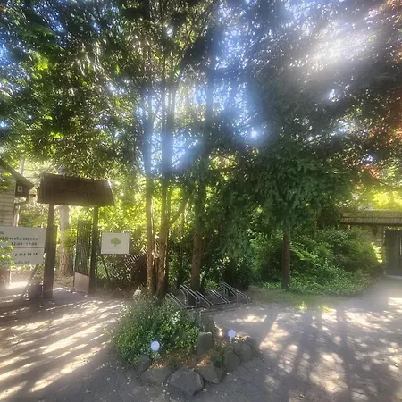 Park Apartment-2
